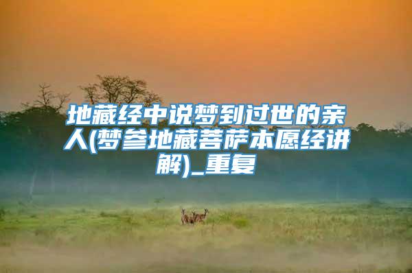 地藏经中说梦到过世的亲人(梦参地藏菩萨本愿经讲解)_重复