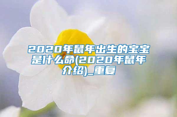 2020年鼠年出生的宝宝是什么命(2020年鼠年介绍)_重复