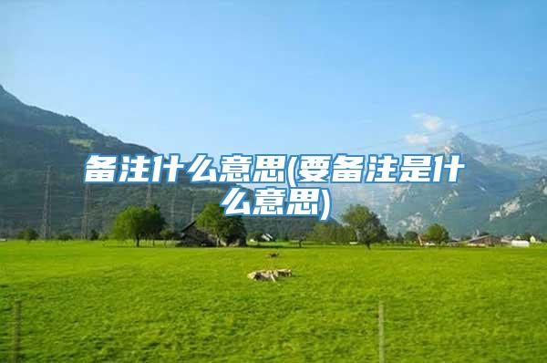 备注什么意思(要备注是什么意思)