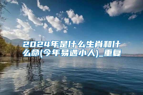 2024年是什么生肖和什么命(今年易遇小人)_重复