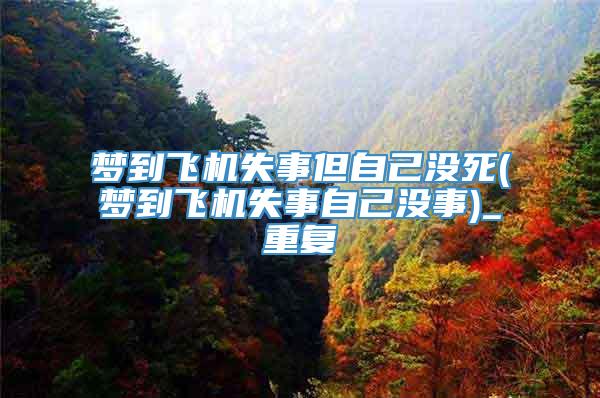 梦到飞机失事但自己没死(梦到飞机失事自己没事)_重复