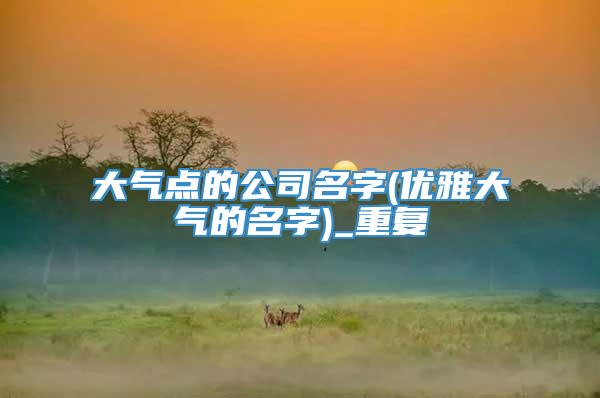 大气点的公司名字(优雅大气的名字)_重复