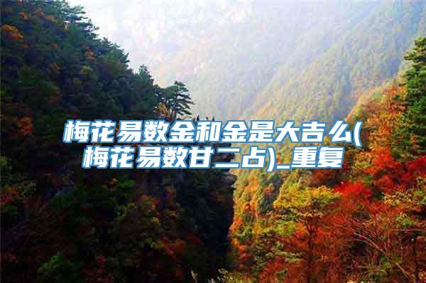 梅花易数金和金是大吉么(梅花易数甘二占)_重复