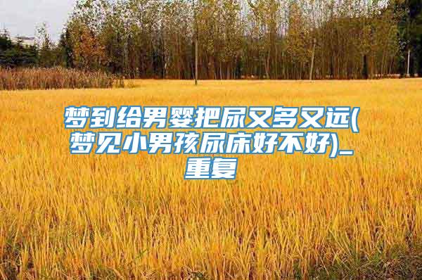 梦到给男婴把尿又多又远(梦见小男孩尿床好不好)_重复