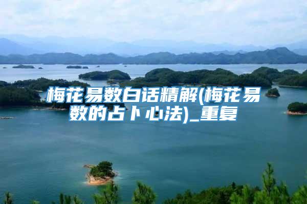 梅花易数白话精解(梅花易数的占卜心法)_重复