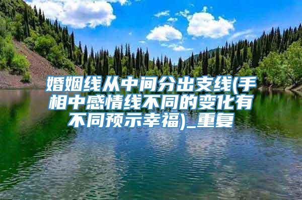 婚姻线从中间分出支线(手相中感情线不同的变化有不同预示幸福)_重复