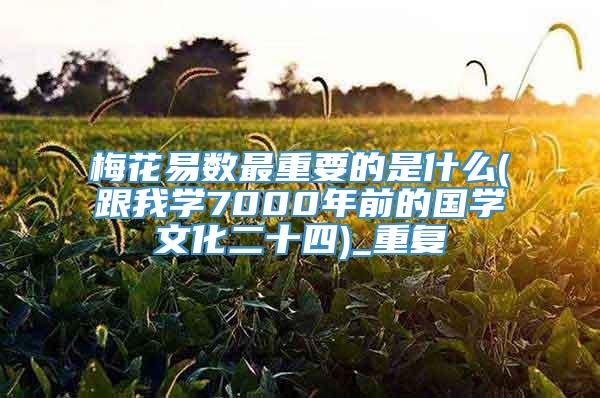 梅花易数最重要的是什么(跟我学7000年前的国学文化二十四)_重复