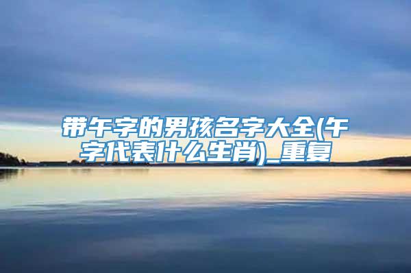 带午字的男孩名字大全(午字代表什么生肖)_重复