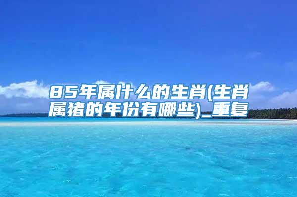 85年属什么的生肖(生肖属猪的年份有哪些)_重复