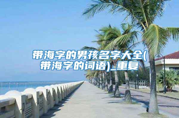 带海字的男孩名字大全(带海字的词语)_重复