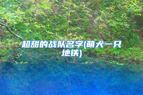 超甜的战队名字(萌犬一只地铁)