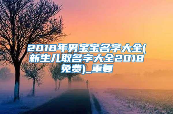 2018年男宝宝名字大全(新生儿取名字大全2018免费)_重复