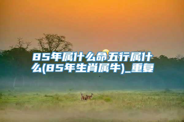 85年属什么命五行属什么(85年生肖属牛)_重复