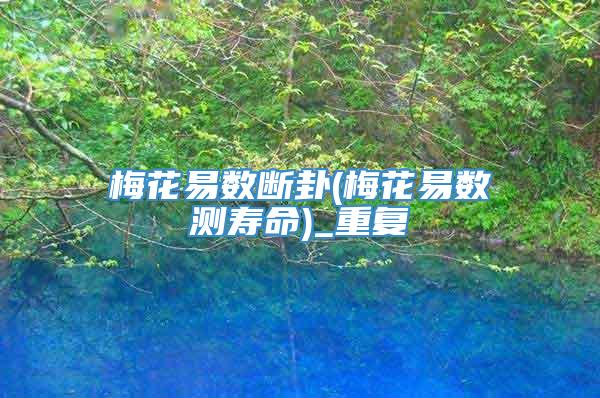 梅花易数断卦(梅花易数测寿命)_重复