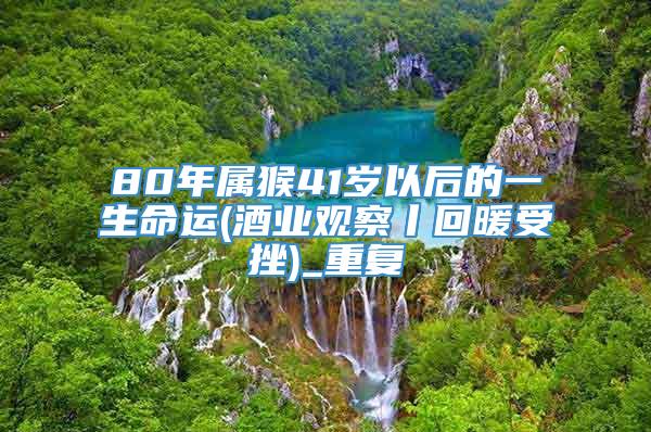 80年属猴41岁以后的一生命运(酒业观察丨回暖受挫)_重复