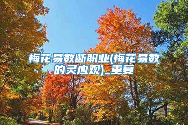 梅花易数断职业(梅花易数的灵应观)_重复