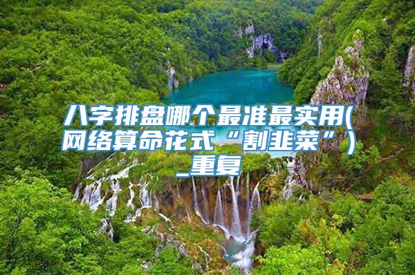 八字排盘哪个最准最实用(网络算命花式“割韭菜”)_重复