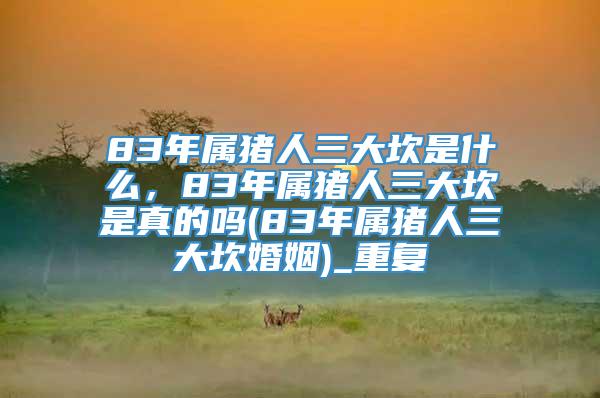 83年属猪人三大坎是什么，83年属猪人三大坎是真的吗(83年属猪人三大坎婚姻)_重复