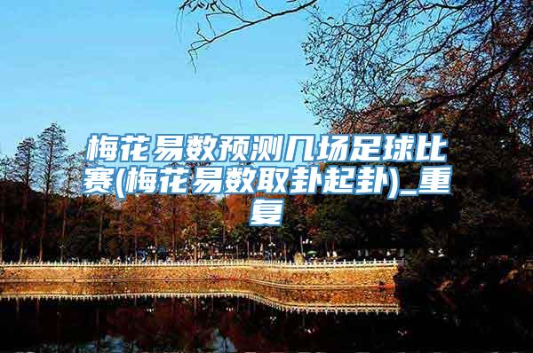 梅花易数预测几场足球比赛(梅花易数取卦起卦)_重复