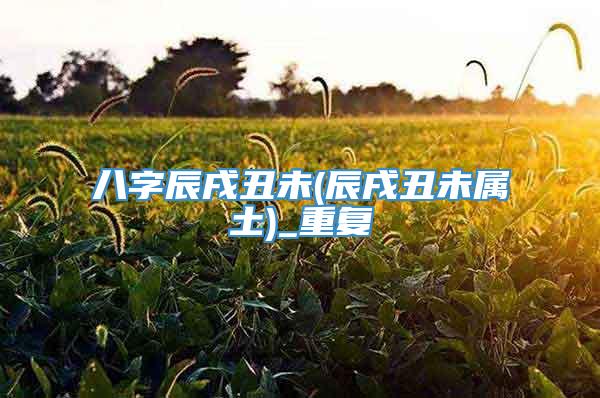 八字辰戌丑未(辰戌丑未属土)_重复