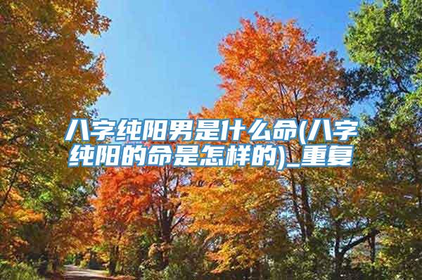 八字纯阳男是什么命(八字纯阳的命是怎样的)_重复