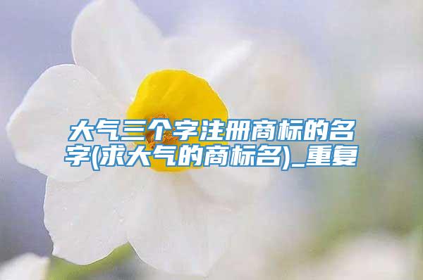 大气三个字注册商标的名字(求大气的商标名)_重复