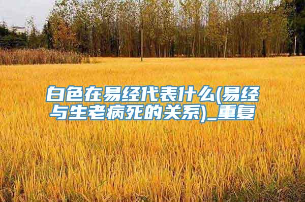 白色在易经代表什么(易经与生老病死的关系)_重复