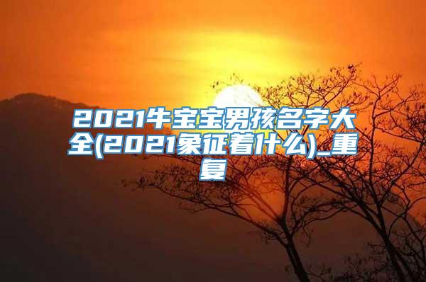 2021牛宝宝男孩名字大全(2021象征着什么)_重复