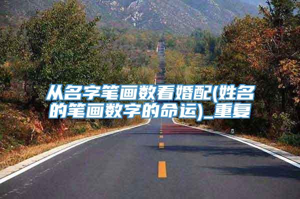 从名字笔画数看婚配(姓名的笔画数字的命运)_重复