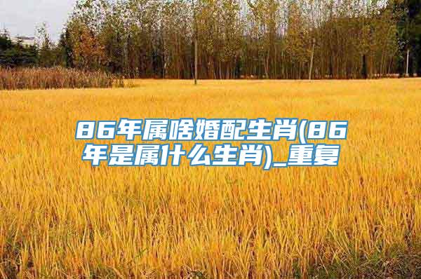 86年属啥婚配生肖(86年是属什么生肖)_重复