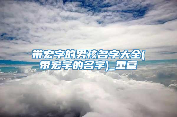 带宏字的男孩名字大全(带宏字的名字)_重复