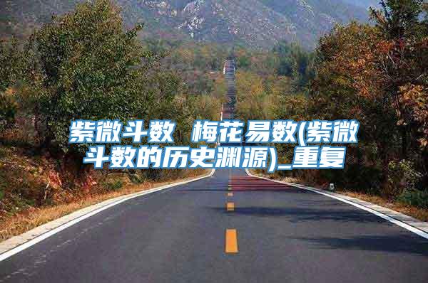 紫微斗数 梅花易数(紫微斗数的历史渊源)_重复