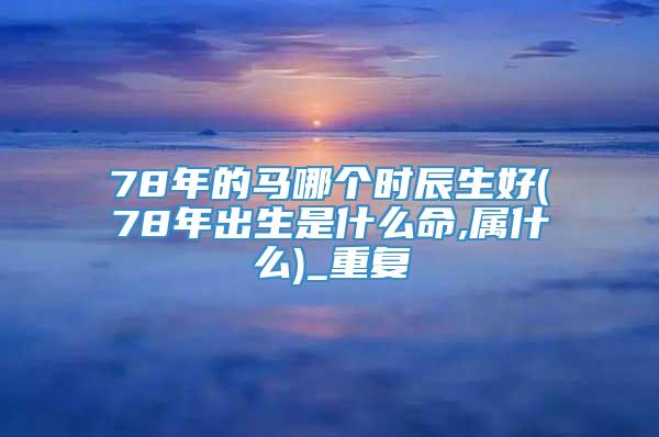 78年的马哪个时辰生好(78年出生是什么命,属什么)_重复