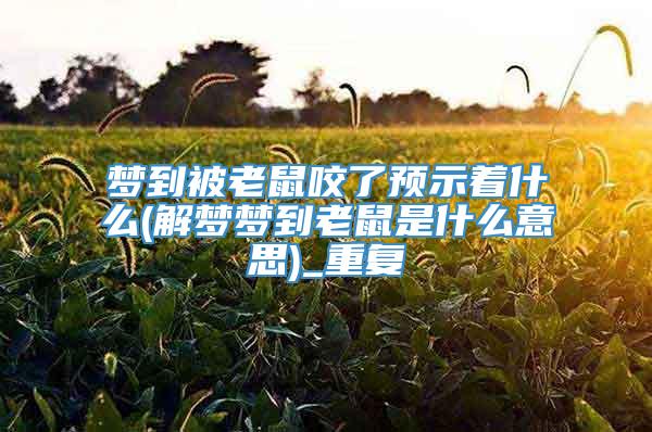 梦到被老鼠咬了预示着什么(解梦梦到老鼠是什么意思)_重复