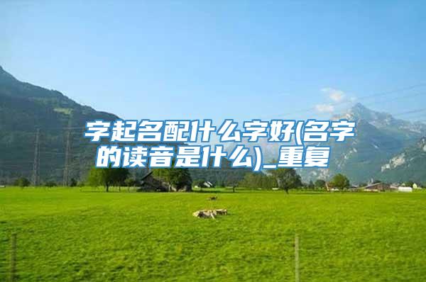 宬字起名配什么字好(名字的读音是什么)_重复