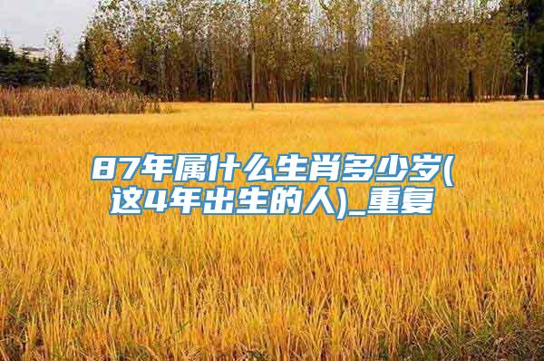 87年属什么生肖多少岁(这4年出生的人)_重复