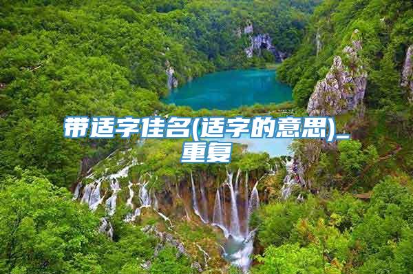 带适字佳名(适字的意思)_重复