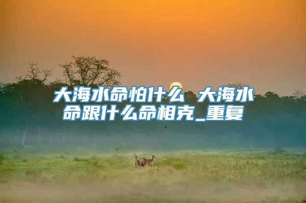 大海水命怕什么 大海水命跟什么命相克_重复