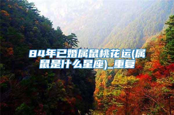 84年已婚属鼠桃花运(属鼠是什么星座)_重复