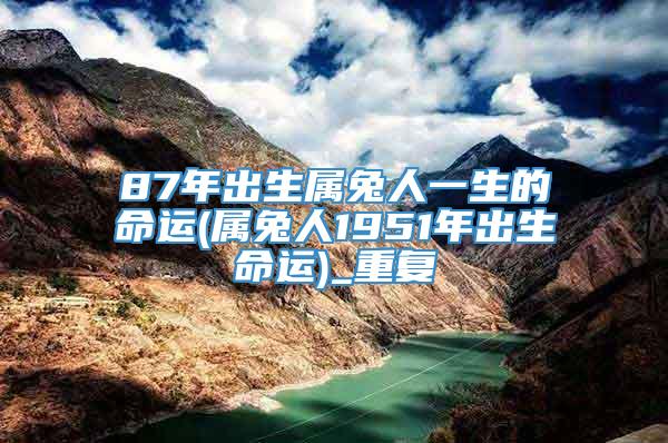 87年出生属兔人一生的命运(属兔人1951年出生命运)_重复