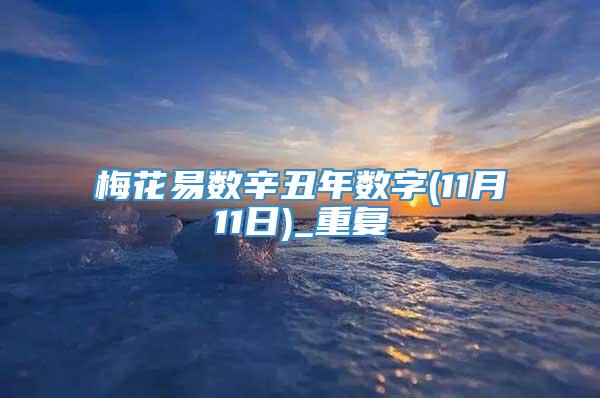 梅花易数辛丑年数字(11月11日)_重复