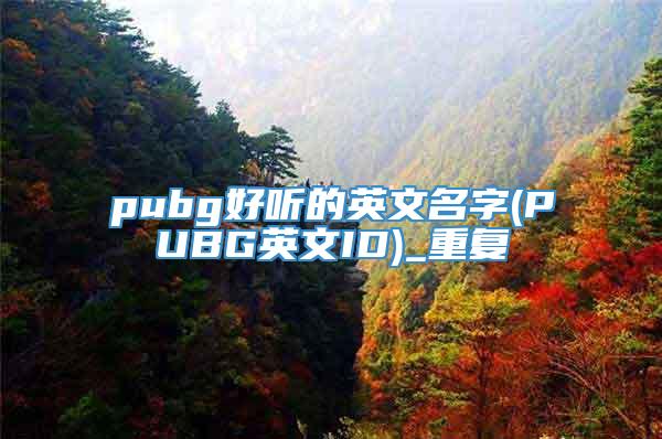 pubg好听的英文名字(PUBG英文ID)_重复