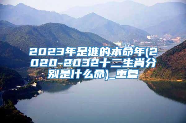 2023年是谁的本命年(2020-2032十二生肖分别是什么命)_重复