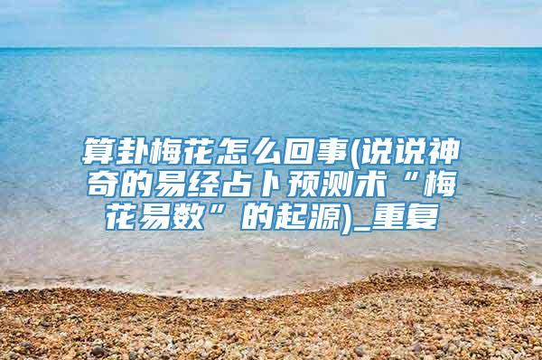 算卦梅花怎么回事(说说神奇的易经占卜预测术“梅花易数”的起源)_重复
