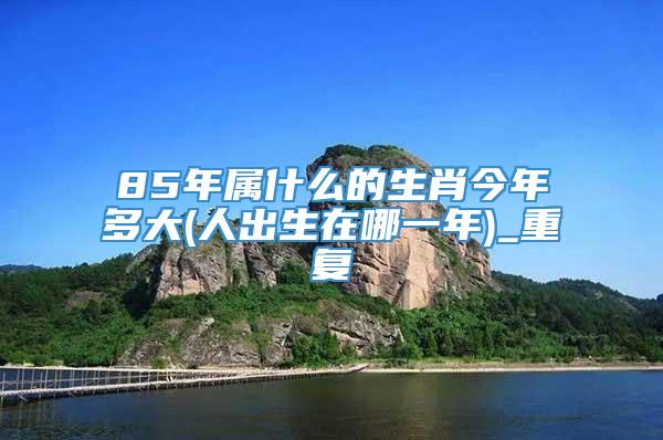 85年属什么的生肖今年多大(人出生在哪一年)_重复