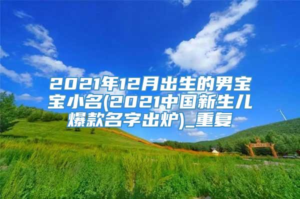 2021年12月出生的男宝宝小名(2021中国新生儿爆款名字出炉)_重复