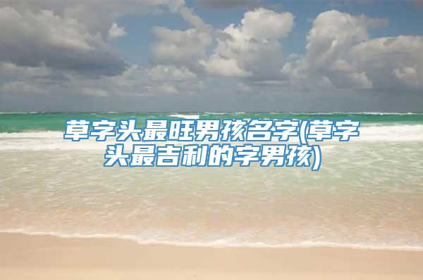 草字头最旺男孩名字(草字头最吉利的字男孩)