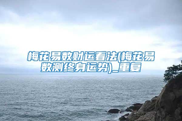 梅花易数财运看法(梅花易数测终身运势)_重复