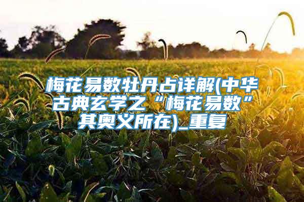 梅花易数牡丹占详解(中华古典玄学之“梅花易数”其奥义所在)_重复