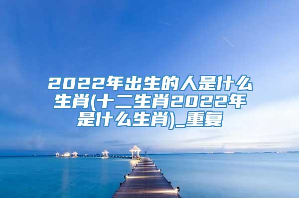 2022年出生的人是什么生肖(十二生肖2022年是什么生肖)_重复